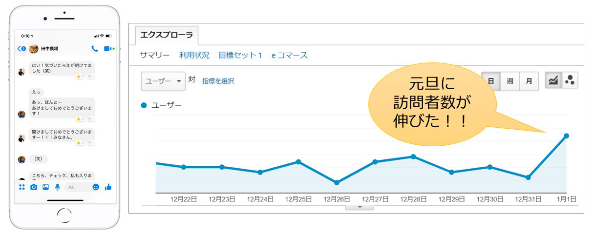 ダブルノット代表ブログお正月のアクセス