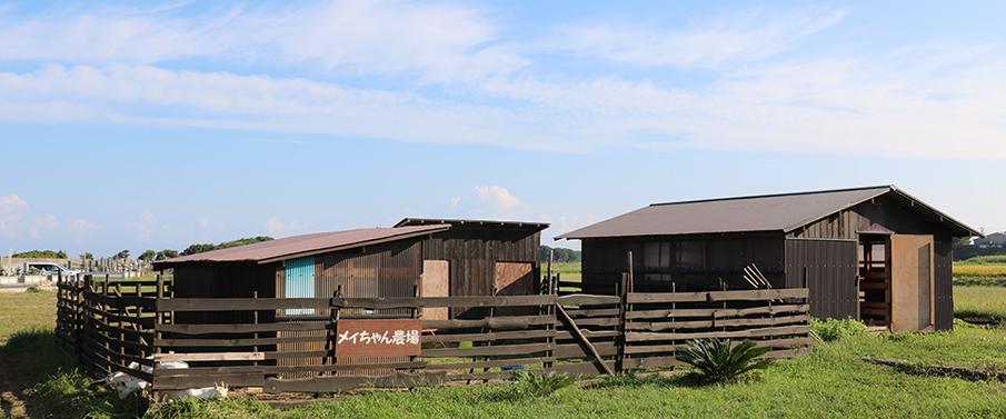 メイちゃん農場