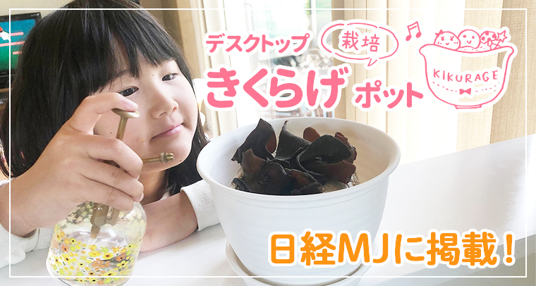 デスクトップきくらげ栽培ポット