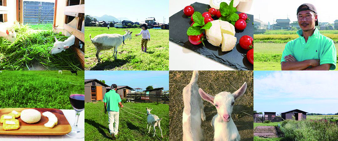 希少なシェーブルチーズを使った地域活性化への取り組みを協働