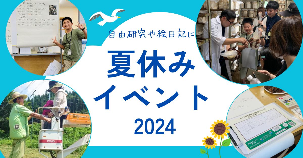 2024年夏休みイベントのご案内